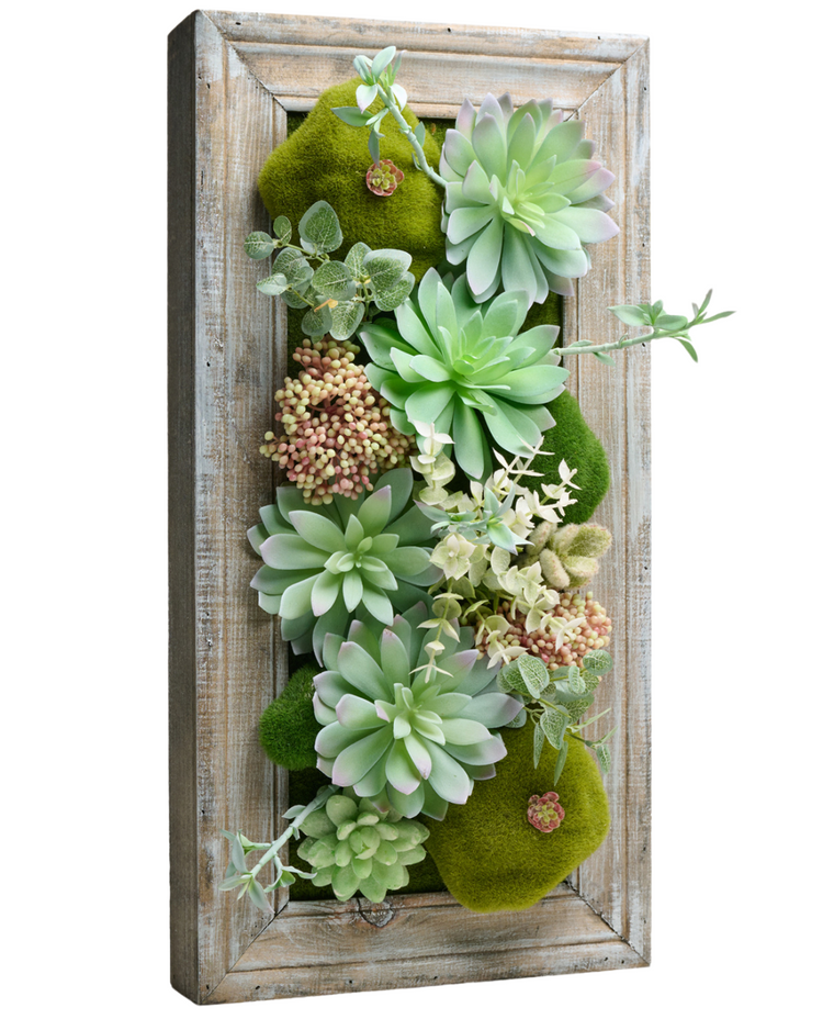 Framed 3D Succulents