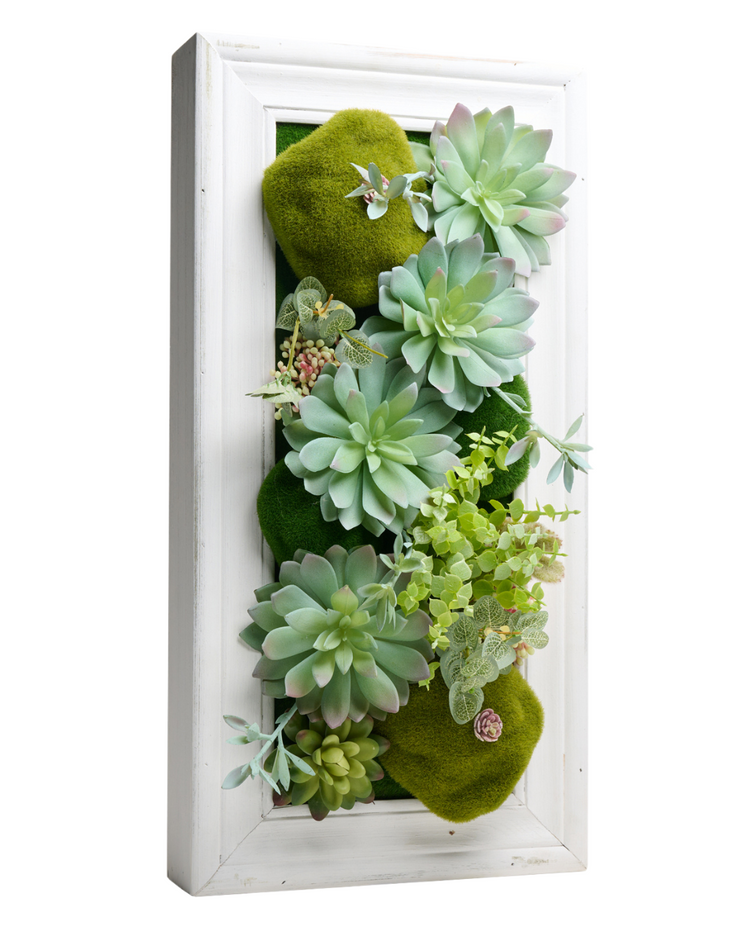 Framed 3D Succulents