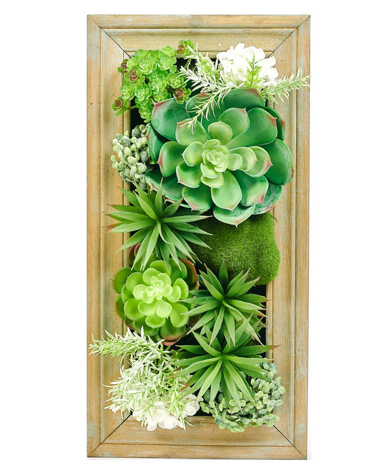 50 cm Framed 3D Succulents