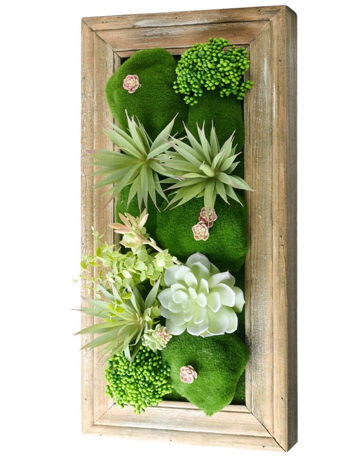 Framed 3D Succulents