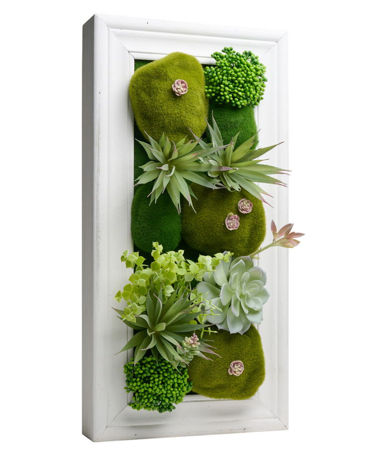 Framed 3D Succulents